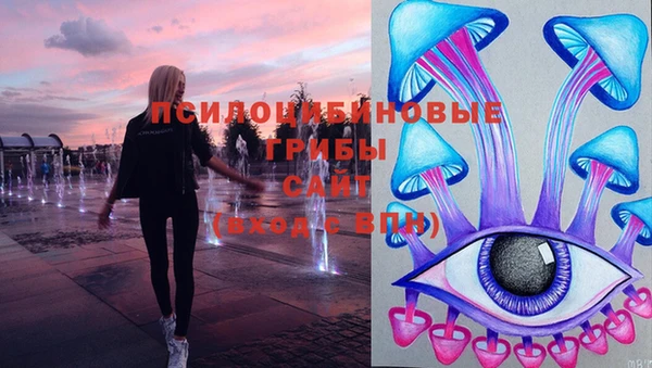 ПСИЛОЦИБИНОВЫЕ ГРИБЫ Беломорск
