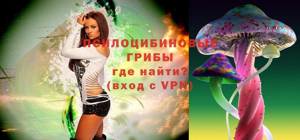 молекула духа Белокуриха