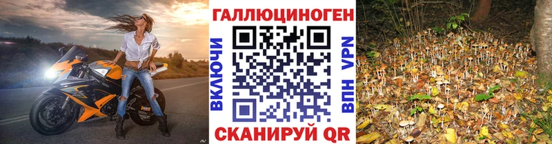 Галлюциногенные грибы Psilocybine cubensis  где продают наркотики  KRAKEN зеркало  Набережные Челны 